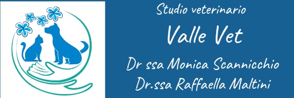 Studio Veterinario VALLE VET Dr.sa Monica Scannicchio Dr.ssa Raffaella Maltini 